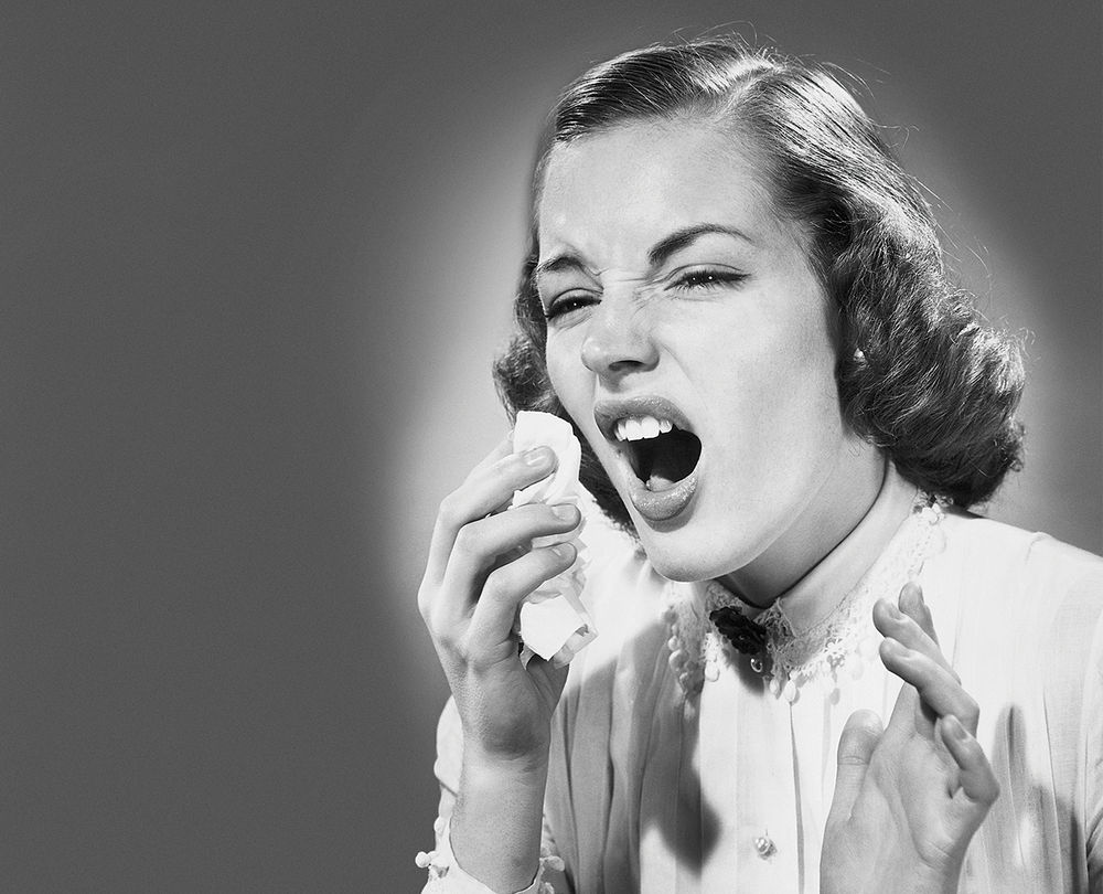 Rider Activity Guide » Riding During Allergy Season