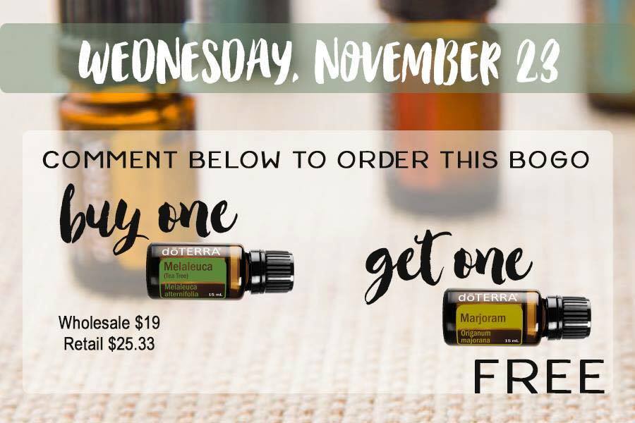 Day 3 of the Thanksgiving BOGO deals