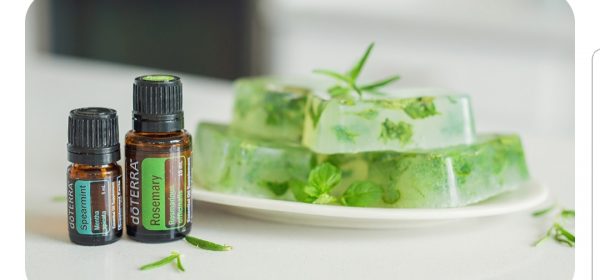 – rosmarinus officinalis