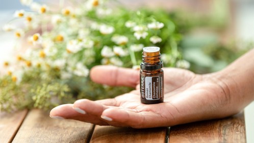 Roman Chamomile Essential Oil